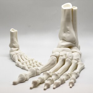 Gruseliger und verspielter 3D-gedruckter Skelettfuß - Halloween-Dekor
