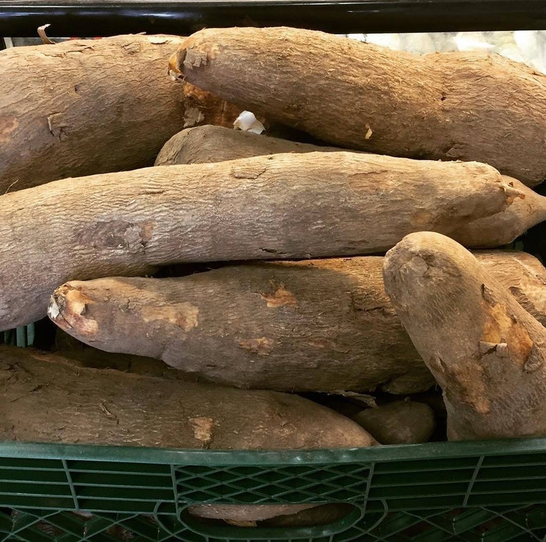 Fresh Ghana Yam Ghana Yam African Yam Fresh Tubers of Yam Etsy