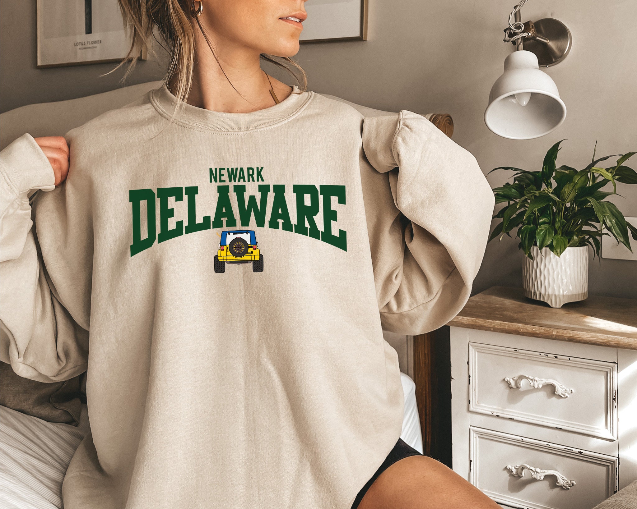 University of Delaware 3-Color Bird T-shirt – National 5 and 10