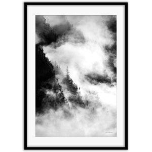 Tree Amongst the Squamish Fog Wall Print | Squamish Art, Sea to Sky Art, West Coast Art, Chief Black & White, Squamish Clouds