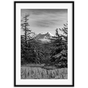 Snowy Mt Garibaldi from the Squamish Estuary Photo Print | Squamish Art, Sea to Sky Art, West Coast Art, Squamish Print