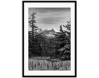 Snowy Mt Garibaldi from the Squamish Estuary Photo Print | Squamish Art, Sea to Sky Art, West Coast Art, Squamish Print