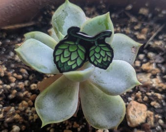 Mini Hops enamel Pin - xx/25 Lapel Pin Numbered UV Glow