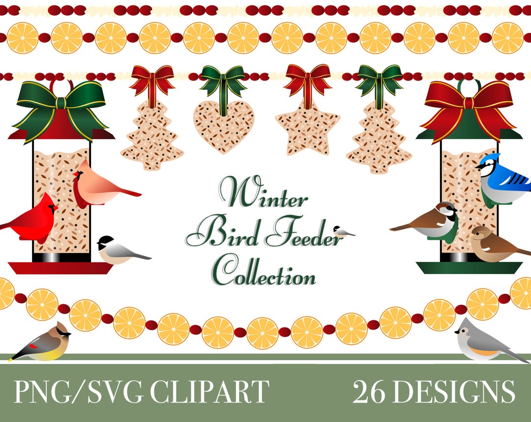 Winter Bird Feeder Collection Wild Bird Bird Feeder Treat Etsy