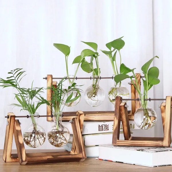 Hydroponics glass vase plant Wooden Stand Terrarium Kit: Indoor Plant Propagation Station, Glass Planter Pot, Home Decor Gift