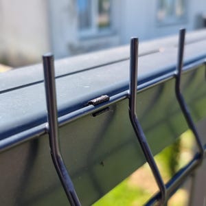 Dämpningsklämmor för metallstaket och grindar – Snäpps på, inga verktyg behövs