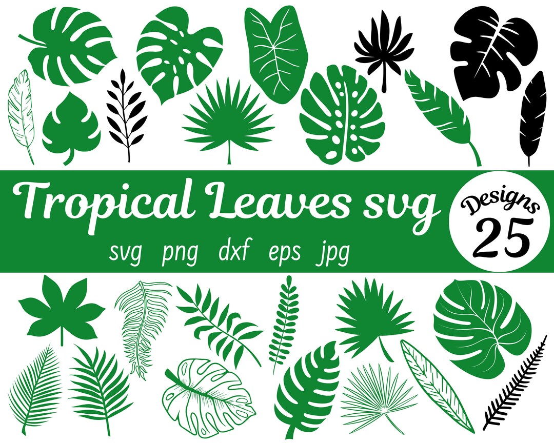 Tropical Leaves Svg, Leaf Svg, Tropical Leaf Svg, Leaves Svg, Tropical