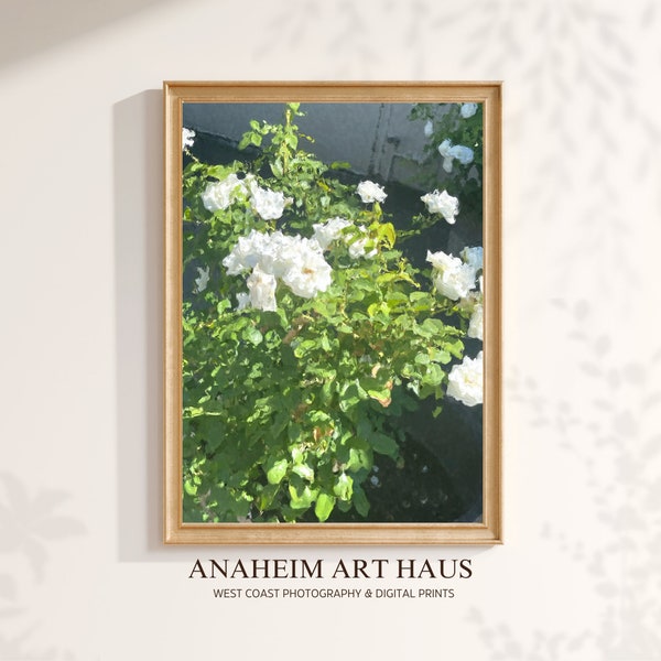 Ivory White Roses Summer Garden Art Print | Printable Cottage Core Oil Painting | Modern White Floral Wall Art | Anaheim Art Print