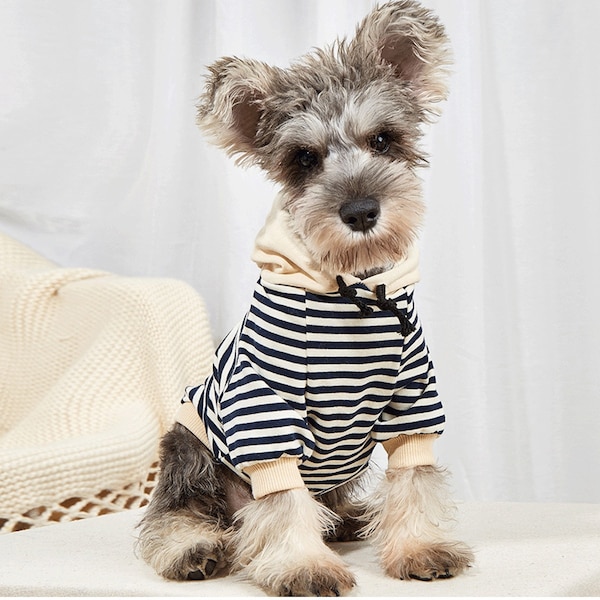 Boy Dog Clothes Etsy