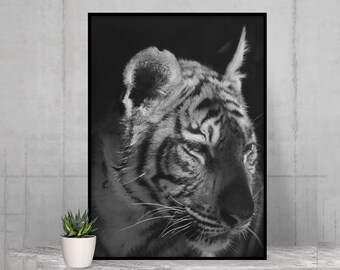 FRAMED Black and White TIGER Poster Wall Decor Art,  Baby Woodland Forest Animal Nursery Print