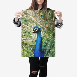 PEACOCK Pfau Printable Poster Wall Decor Art, UNGERAHMT Baby Wald Wald Tier Kinderzimmer Print, Sofortiger digitaler Download
