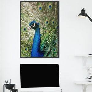 PEACOCK Peafowl Printable Poster Wall Decor Art, UNFRAMED Baby Woodland Forest Animal Nursery Print, Instant Digital Download image 6