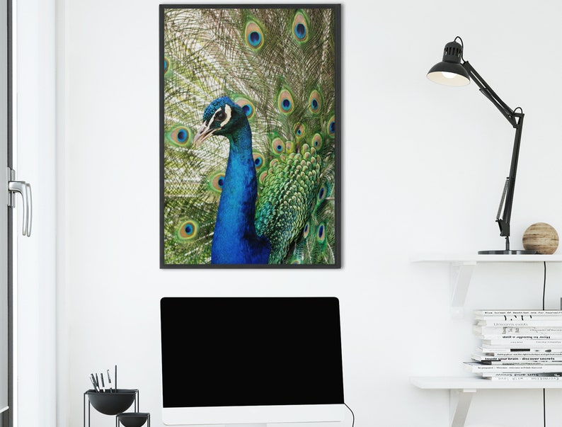 PEACOCK Peafowl Printable Poster Wall Decor Art, UNFRAMED Baby Woodland Forest Animal Nursery Print, Instant Digital Download image 6