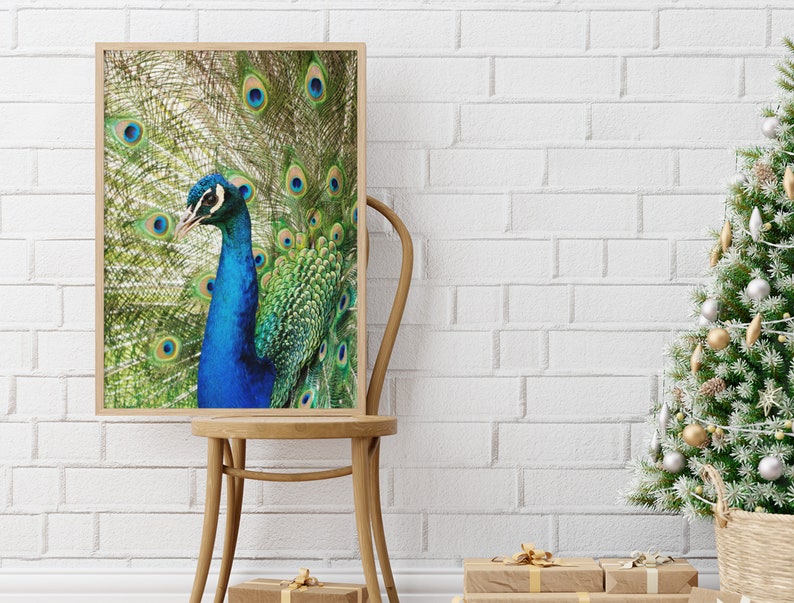 PEACOCK Peafowl Printable Poster Wall Decor Art, UNFRAMED Baby Woodland Forest Animal Nursery Print, Instant Digital Download image 8