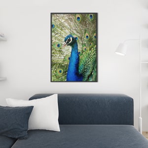 PEACOCK Peafowl Printable Poster Wall Decor Art, UNFRAMED Baby Woodland Forest Animal Nursery Print, Instant Digital Download image 3