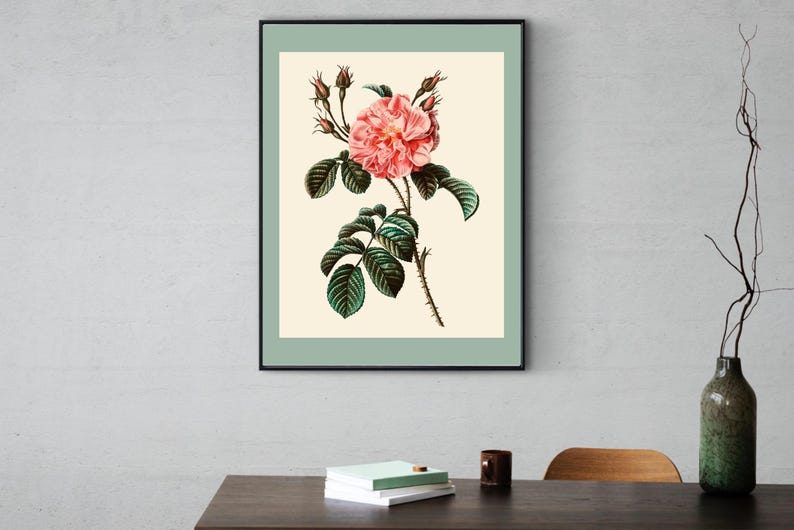 Vintage Rose Poster - Pink and Green Wall Art - Botanical Poster Print ...