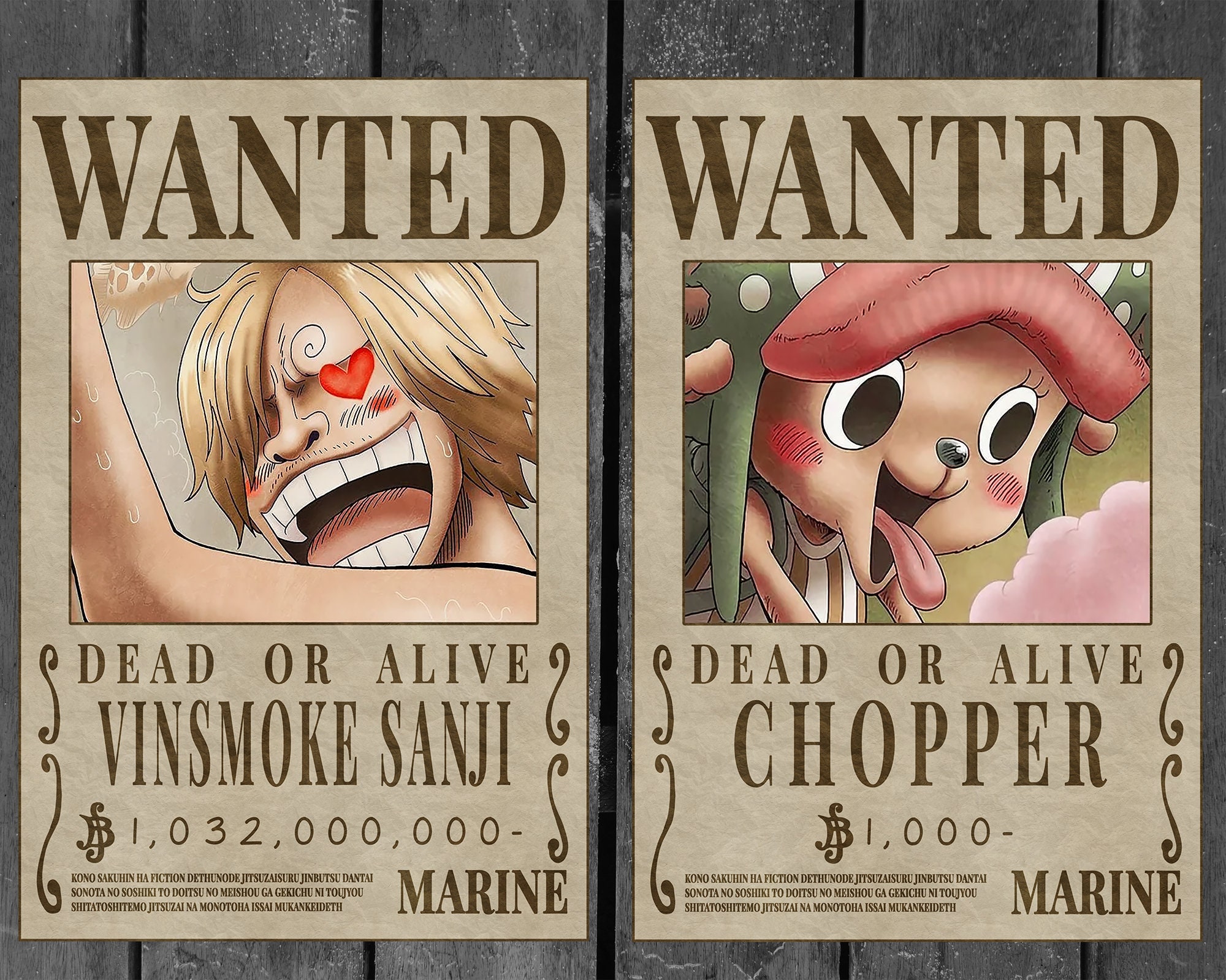 One Piece Wanted Posters Explained