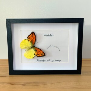 Peut inclure: Une image encadrée en noir avec un papillon jaune et orange et une constellation. Le texte "Widder" et "Finnja 28.03.2019" est imprimé sur le passe-partout blanc.