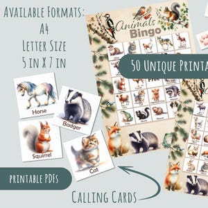 Bingokaarten | Afdrukbare bingo | Dierenbingo | 50 afdrukbare kaarten in A4- en Letter-formaat | Inclusief visitekaartjes en visitekaartjes