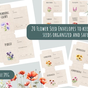 Conjunto de sobres de semillas de jardín: imágenes prediseñadas digitales de 20 piezas para Coreopsis, Dahlia, Zinnia y más: imprimibles y perfectas para intercambios de semillas