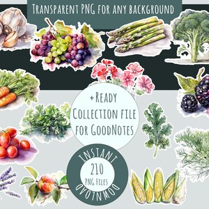 Pode incluir: Uma cole&ccedil;&atilde;o de 210 ilustra&ccedil;&otilde;es de aquarela de v&aacute;rias frutas, vegetais e ervas. As ilustra&ccedil;&otilde;es s&atilde;o de estilo realista e apresentam uma variedade de cores. As ilustra&ccedil;&otilde;es s&atilde;o perfeitas para usar em planejadores digitais, scrapbooking e outros projetos criativos.
