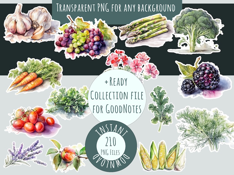 Pode incluir: Uma cole&ccedil;&atilde;o de 210 ilustra&ccedil;&otilde;es de aquarela de v&aacute;rias frutas, vegetais e ervas. As ilustra&ccedil;&otilde;es s&atilde;o de estilo realista e apresentam uma variedade de cores. As ilustra&ccedil;&otilde;es s&atilde;o perfeitas para usar em planejadores digitais, scrapbooking e outros projetos criativos.