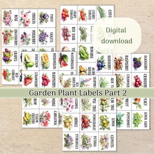 Etiquetas de jardim - 5 páginas imprimíveis de marcadores vibrantes de vegetais e ervas em aquarela, download digital para jardinagem doméstica, etiquetas de plantas ecológicas