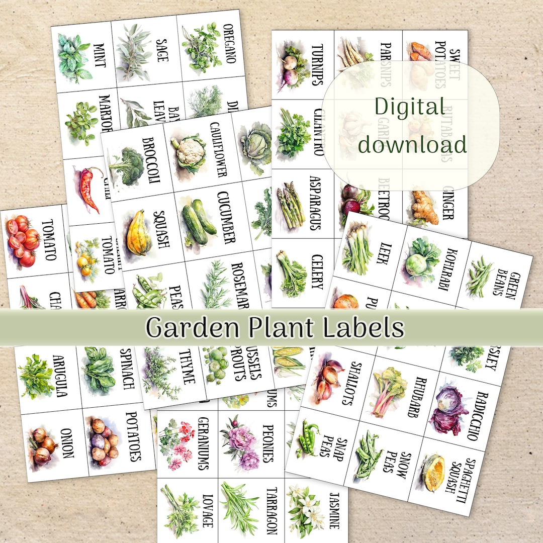 Watercolor Garden Plant Labels Clipart - 6 A4 Pages, Printable Herb & Vegetable Markers, Digital ...