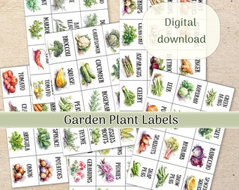 Aquarell Garten Pflanzen Etiketten Clipart - 6 A4 Seiten, druckbare Kräuter & Gemüse Etiketten, digitaler Download für Gartenarbeit, DIY Pflanzen Tags