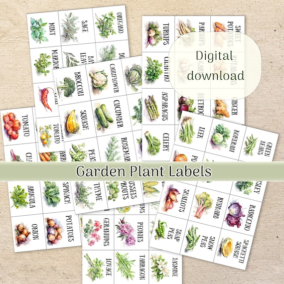 Watercolor Garden Plant Labels Clipart - 6 A4 Pages, Printable Herb & Vegetable Markers, Digital Download for Gardening, DIY Plant Tags
