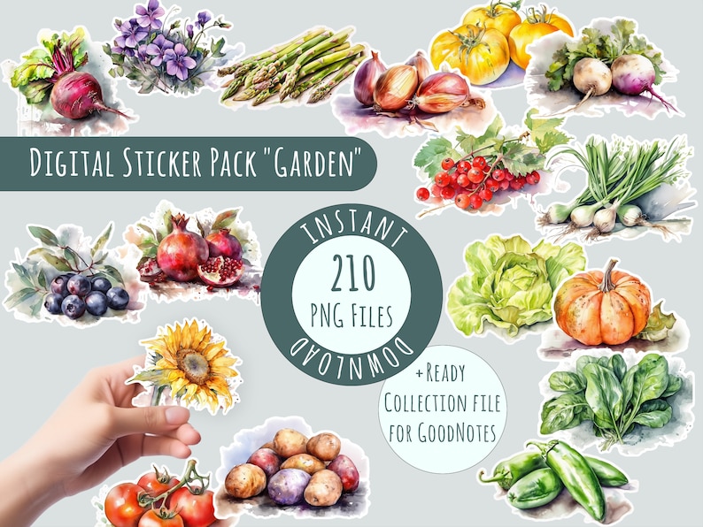 Pode incluir: Um pacote de adesivos digitais com 210 ilustra&ccedil;&otilde;es de aquarela de v&aacute;rios vegetais e flores de jardim. Os adesivos incluem imagens de aspargos, beterraba, mirtilos, couve, cenouras, cebolinha, alho, uvas, feij&atilde;o verde, piment&otilde;es verdes, cebolas, batatas, ab&oacute;boras, rabanetes, groselhas vermelhas, espinafre, girass&oacute;is, tomates e violetas. Os adesivos s&atilde;o perfeitos para adicionar um toque de natureza ao seu planejador digital, notas ou outros projetos digitais.