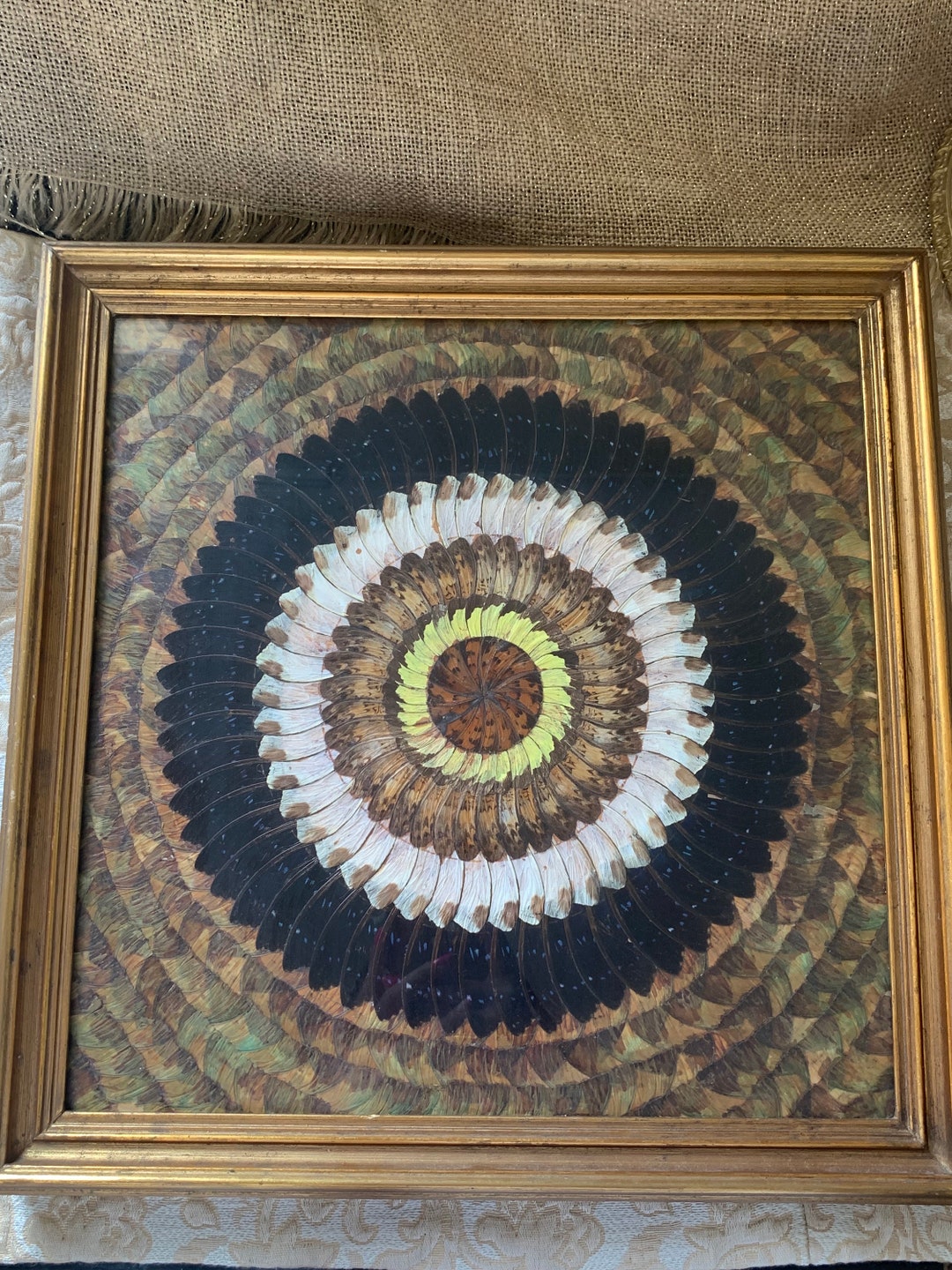 Vintage Glass Frame With Butterflies From 1960 Etsy