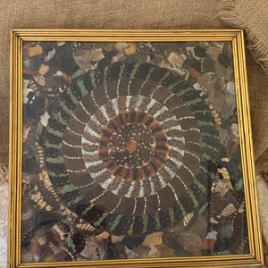 Vintage glasram med fjärilar från 1960