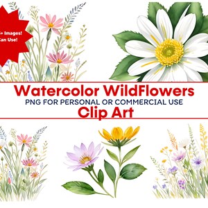 Watercolor Wildflower Clipart - Pretty Floral PNG format instant download for commercial use  | Floral Border | Watercolor Flower PNG
