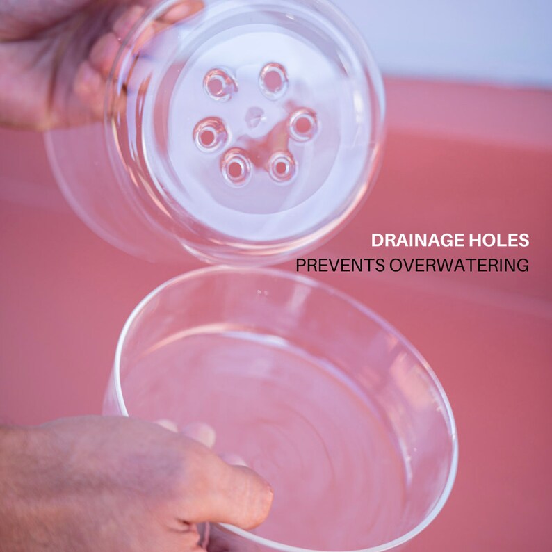 Sheer Glass Pot Planter With Drainage Holes and Tray Etsy