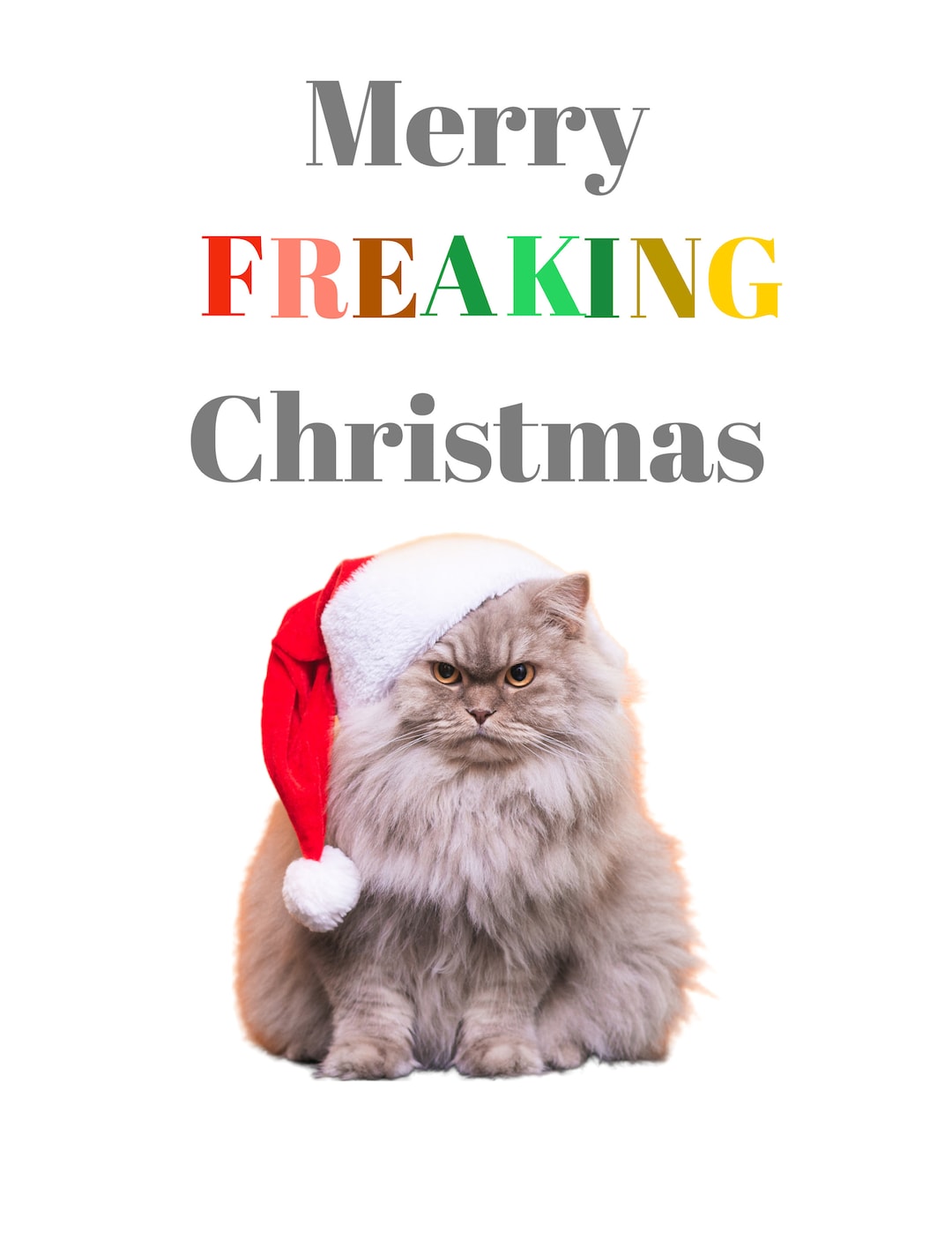 Merry Freaking Christmas 