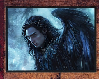 May include: A man with long black hair and dark blue eyes, wearing a dark blue feathered garment, with large black wings behind him. The background is a blurry blue and white.