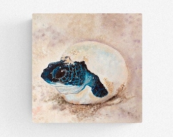 "Kunstdruck ""Baby Schildkröte"" 20x20cm Druck von Original Acrylbild."