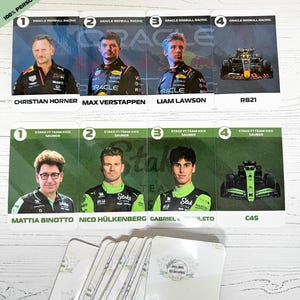 7 Familien Spiel/Happy Families Spiel/ personalisiert/ F1/ Formel 1/ 2025 Edition/ Pilot/ Fahrer/ Team/ Einsitzer/ Geschenke/ Geschenk/ Karten