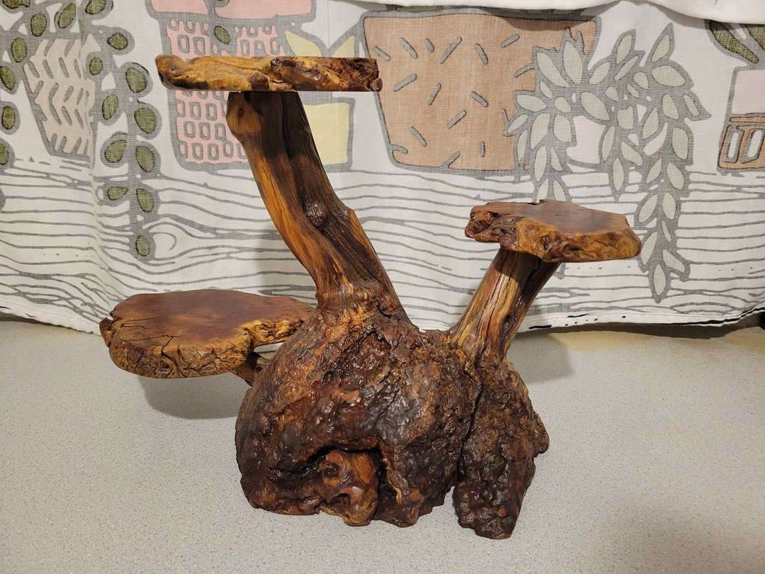 Vintage Rustic Manzanita Root Burl Wood Live Edge 3 Tiered Stand for