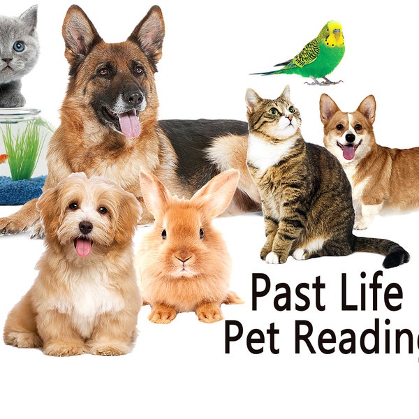 Past Life Pet Reading, Psychic Intuitive Reading, Reincarnation Reading, Read Full Description Before Buying