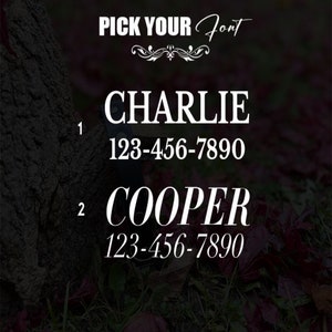 Peut inclure: Deux styles de police sont affich&eacute;s avec les noms Charlie et Cooper et le num&eacute;ro de t&eacute;l&eacute;phone 123-456-7890. Le texte est blanc sur un fond sombre de feuilles mortes.