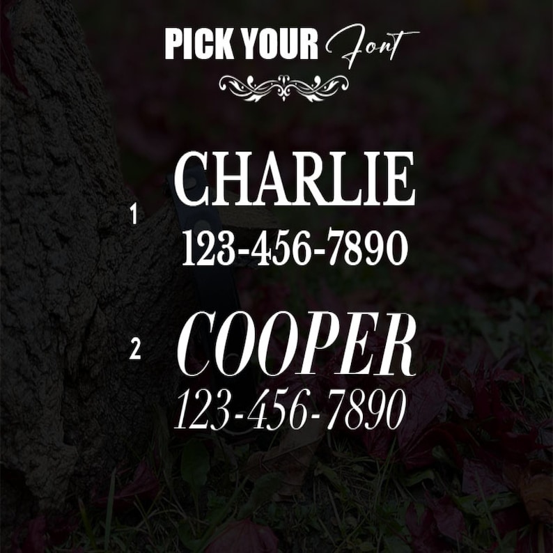 Peut inclure: Deux styles de police sont affich&eacute;s avec les noms Charlie et Cooper et le num&eacute;ro de t&eacute;l&eacute;phone 123-456-7890. Le texte est blanc sur un fond sombre de feuilles mortes.