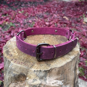 Peut inclure: Un collier pour chien en cuir rose fonc&eacute; avec des ferrures argent&eacute;es. Le collier est pos&eacute; sur une surface en bois.