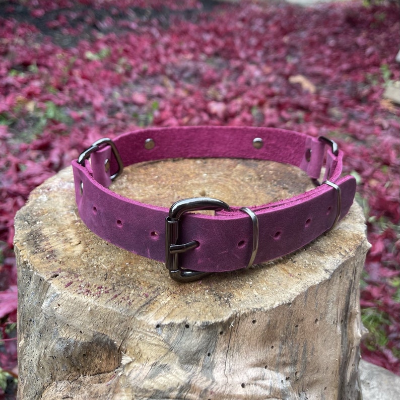 Peut inclure: Un collier pour chien en cuir rose fonc&eacute; avec des ferrures argent&eacute;es. Le collier est pos&eacute; sur une surface en bois.