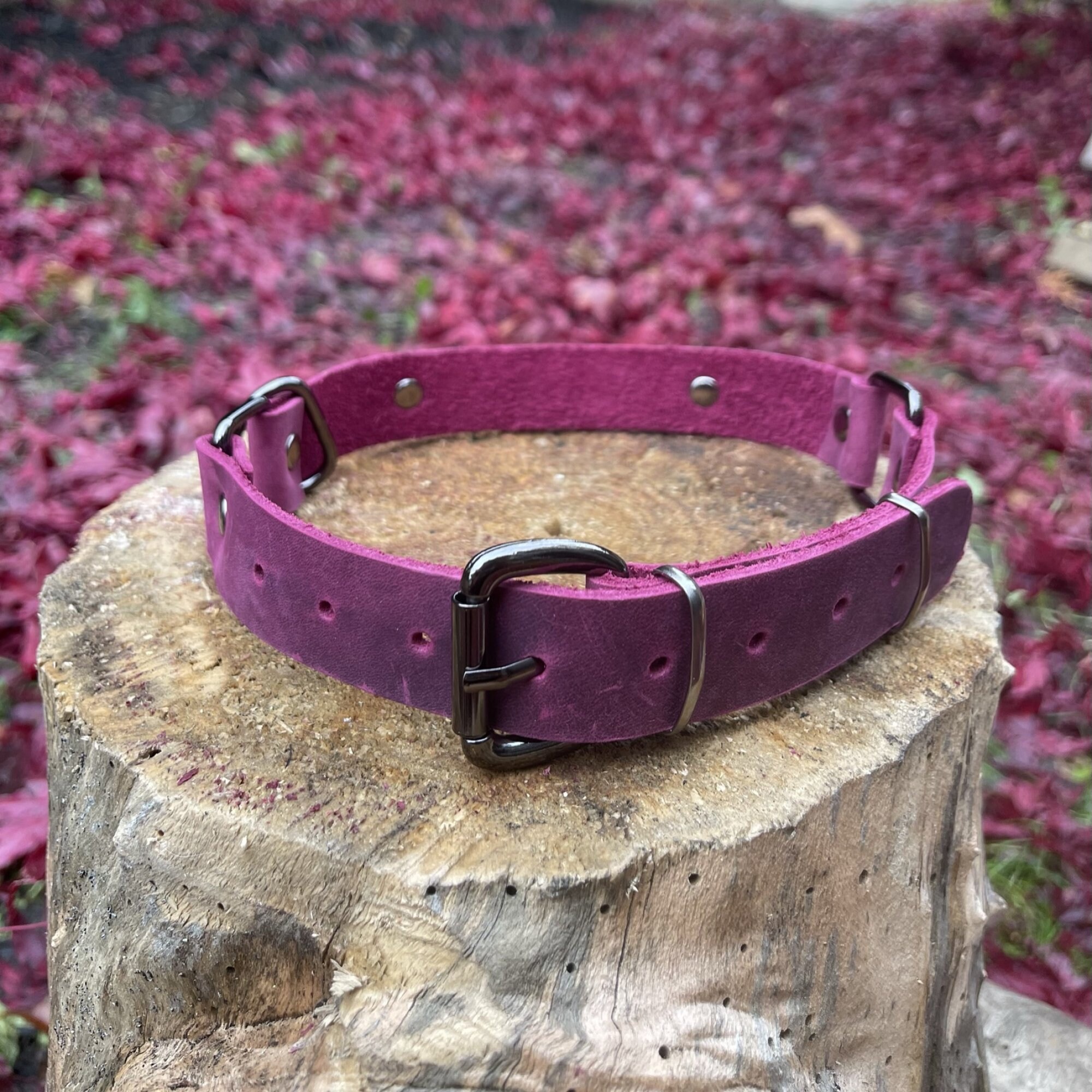 Leather Dog Collar Engraved Leather Dog Collar Dog Collar Etsy