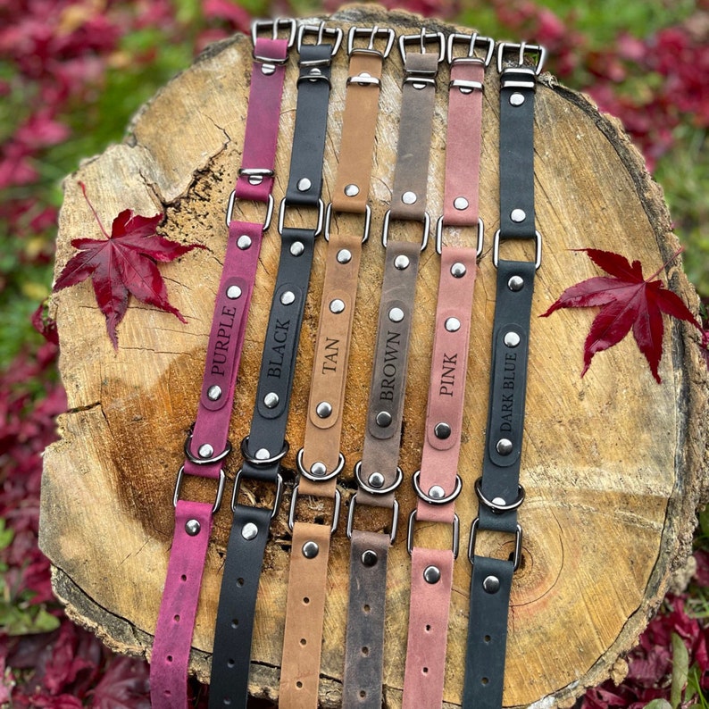 Peut inclure: Huit colliers de chien en cuir de diff&eacute;rentes couleurs, dont le violet, le noir, le beige, le marron, le rose et le bleu fonc&eacute;. Chaque collier est dot&eacute; d'une boucle en m&eacute;tal et d'un anneau en D en m&eacute;tal. Les colliers sont dispos&eacute;s en rang&eacute;e sur une surface en bois.