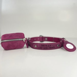 Peut inclure: Un collier de chien en cuir bordeaux avec une pochette assortie. Le collier a une boucle argent&eacute;e et une plaque argent&eacute;e avec le texte "MOLLY 128-456-7890". La pochette a une fermeture &eacute;clair.