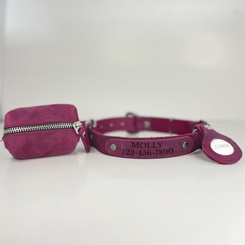 Peut inclure: Un collier de chien en cuir bordeaux avec une pochette assortie. Le collier a une boucle argent&eacute;e et une plaque argent&eacute;e avec le texte "MOLLY 128-456-7890". La pochette a une fermeture &eacute;clair.
