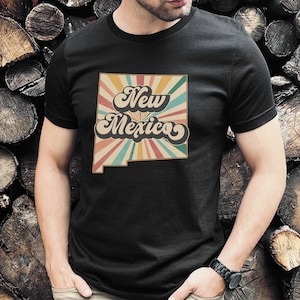 New Mexico Shirt, Retro Vacation Shirt, Travel Tee, Albuquerque Shirt, 1970s Clothing, Souvenir TShirt, Land of Enchantment, USA Roadtrip